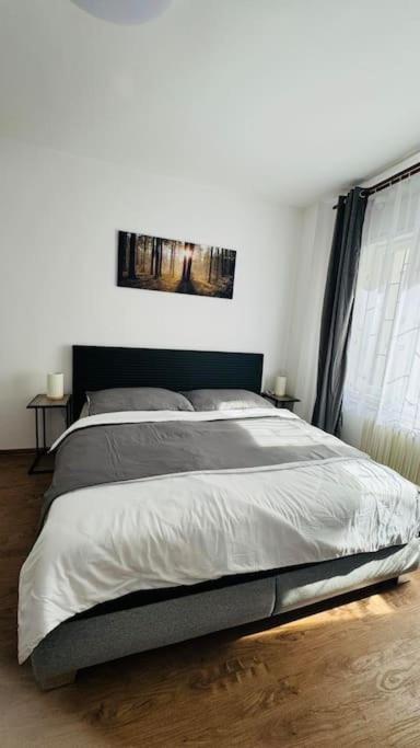 Modern In Old Town Apartment