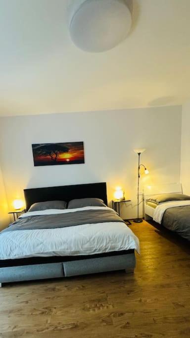 Apartment Modern In Old Town