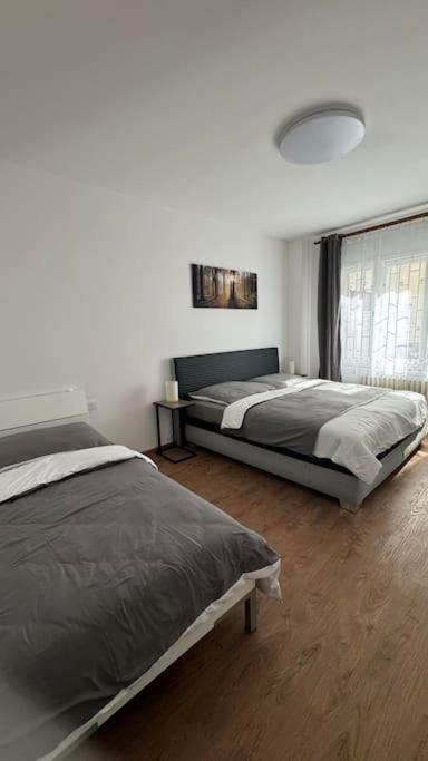 Apartment Modern In Old Town