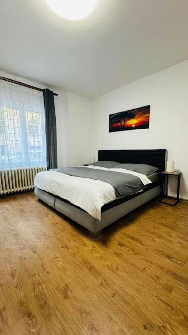 Modern In Old Town Apartment